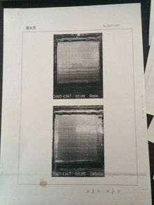 守護(hù)城市安全防線 上海防火卷簾門及其核心動力——卷簾門電機(jī)的全面解析